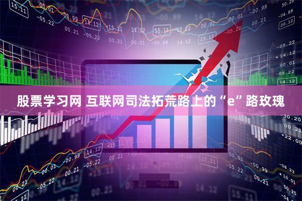 股票学习网 互联网司法拓荒路上的“e”路玫瑰