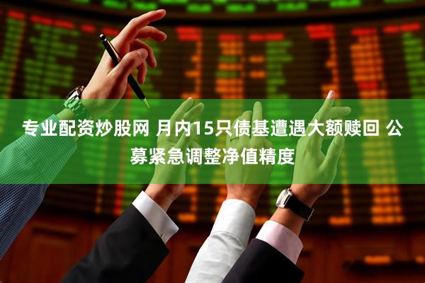 专业配资炒股网 月内15只债基遭遇大额赎回 公募紧急调整净值精度