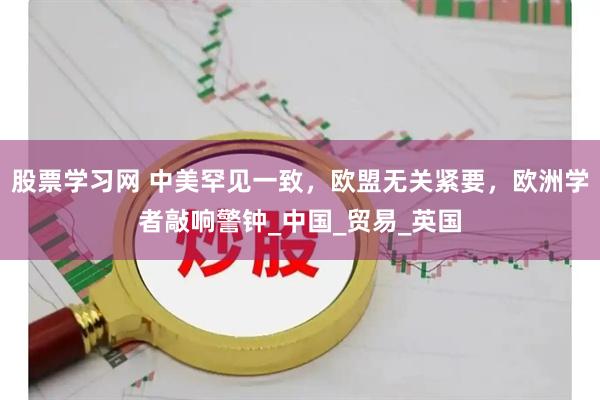 股票学习网 中美罕见一致，欧盟无关紧要，欧洲学者敲响警钟_中国_贸易_英国