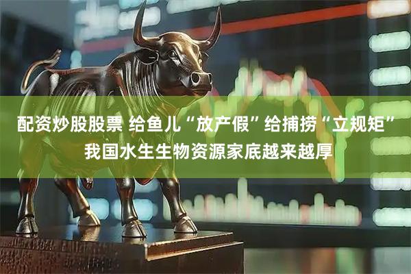 配资炒股股票 给鱼儿“放产假”给捕捞“立规矩” 我国水生生物资源家底越来越厚