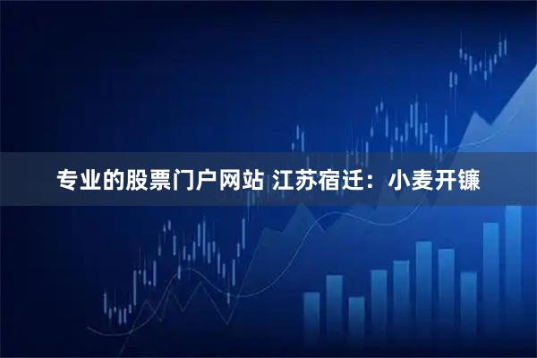 专业的股票门户网站 江苏宿迁：小麦开镰