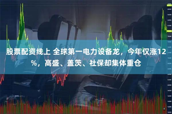 股票配资线上 全球第一电力设备龙，今年仅涨12%，高盛、盖茨、社保却集体重仓